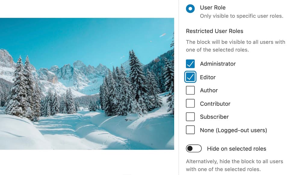Restrict visibility to Administrators and Editors with the Block Visibility plugin.